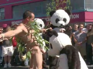 Desnudo pandas truco o tratar sólo en tiempo para víspera de todos los santos